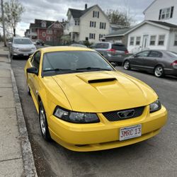 2008 Ford Mustang
