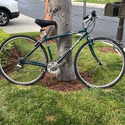 Bicycle- TREK MultiTrack