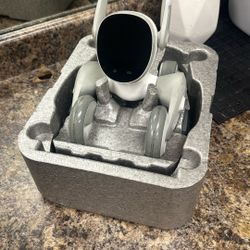 Loona Ai Robot Pet Companion 