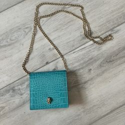 Small Turquoise Purse