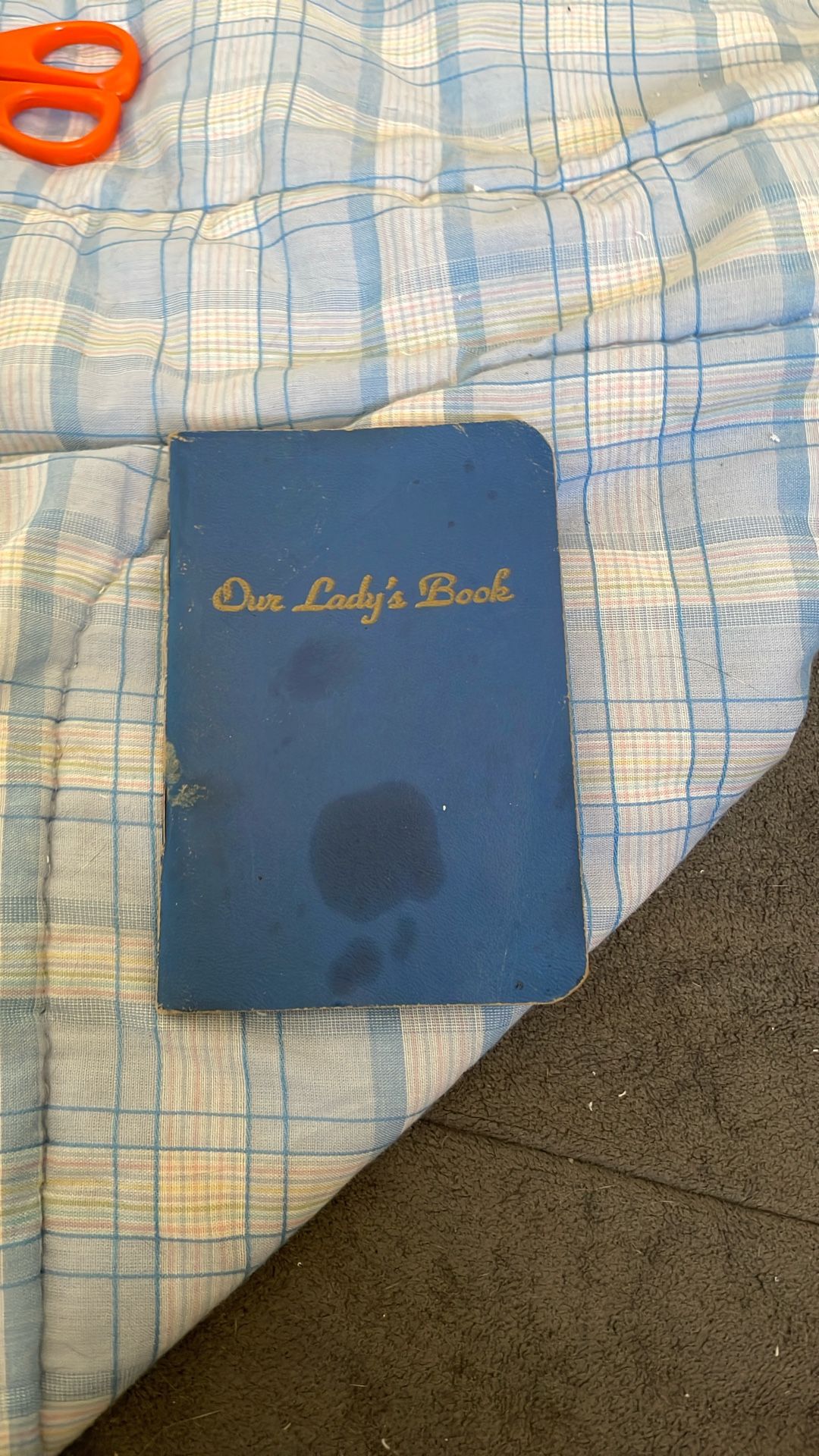 Our Ladys Book