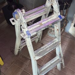 Werner Adjustable Ladder