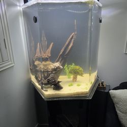 55 hexagon fish tank
