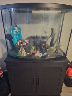Bow Front Fish Tank Aquarium with Stand