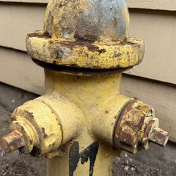 1952 Mueller Fire Hydrant