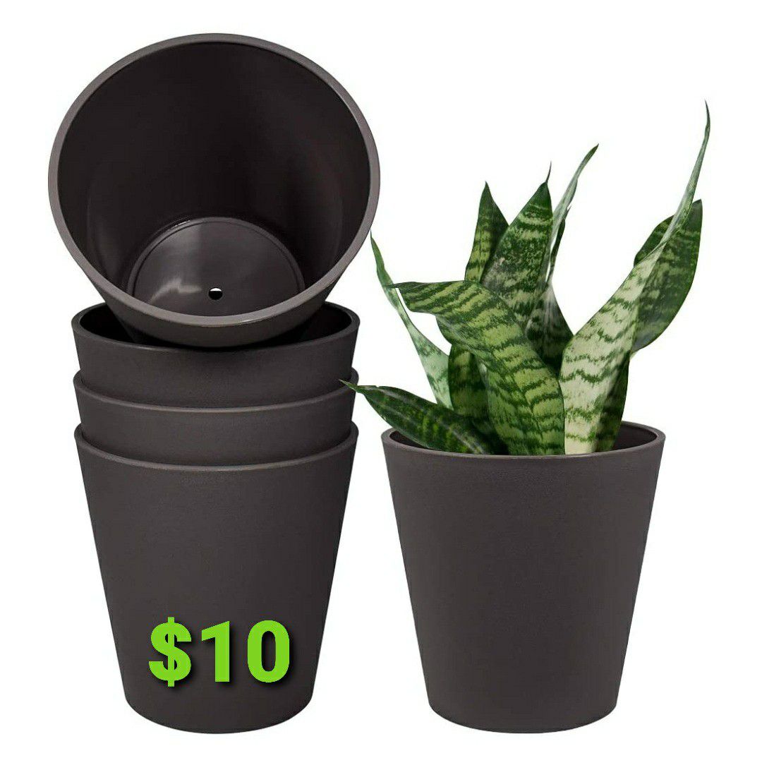 6" Indoor Plant Pots (Set of 5)