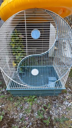 Bird cage