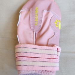 Dog Shoes