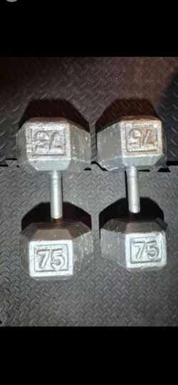 75lbs Dumbells Weights