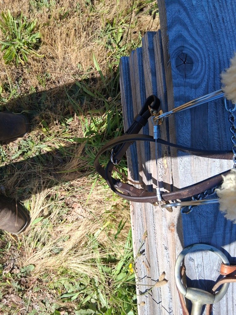 Horse Bridle Double Sticth Mylar Combanation Bite 6 in Mouth 3 Ring Roping Reins