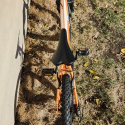 Diamondback Mountain Bike