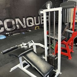 Commercial Leg Curl Machine