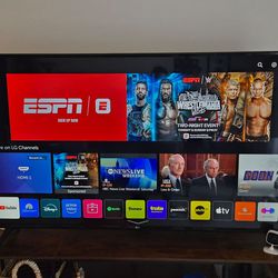 LG 65" smart tv