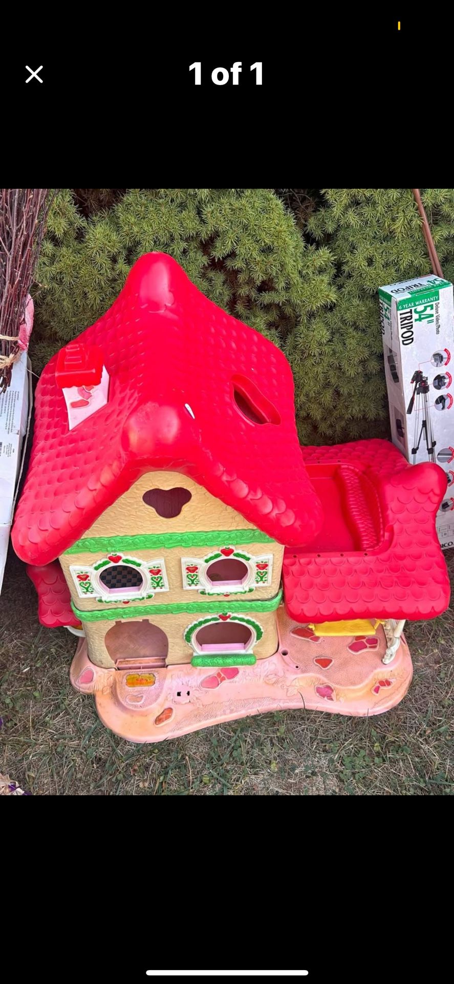 Strawberry Shortcake House
