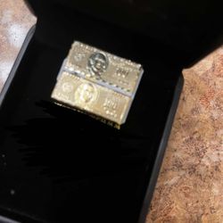 100$ money bill earrings 