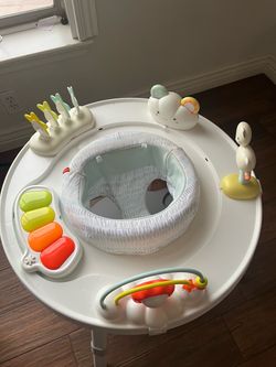 Skip hop activity center