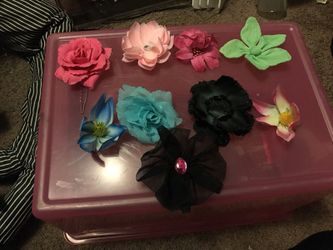 Clips for hair or cloth