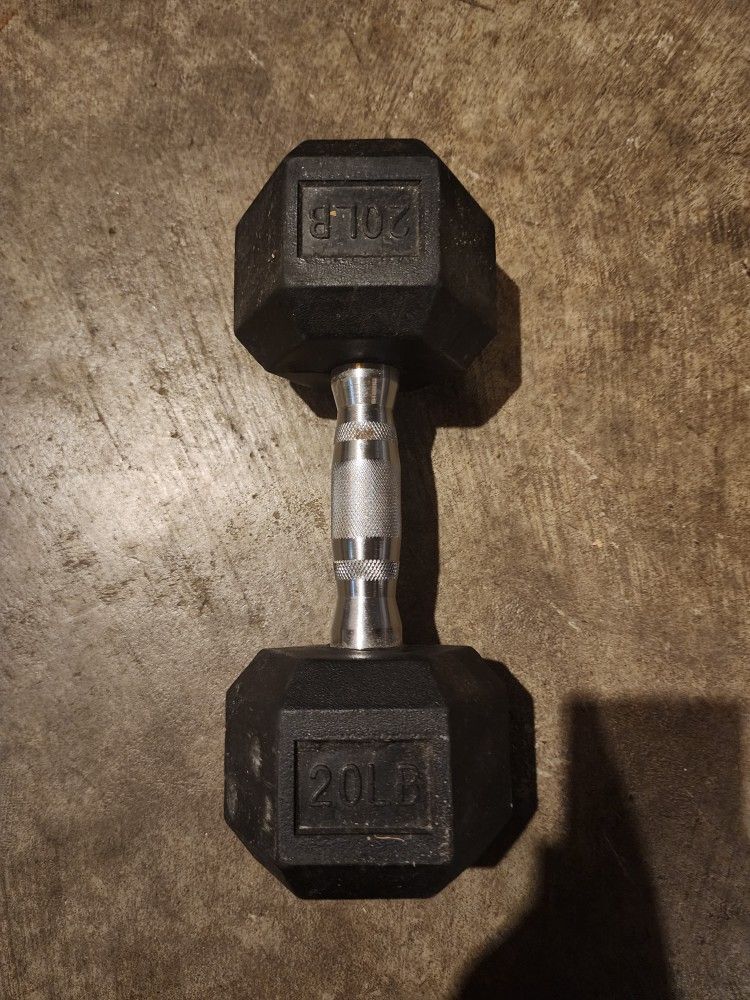 20 Lb Dumbell Single