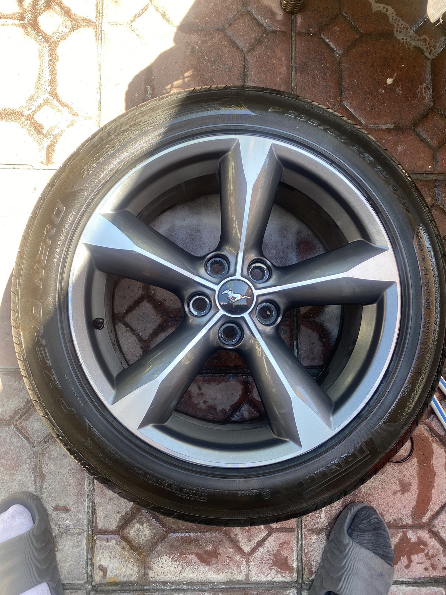 Ford Mustang Wheels And Tires