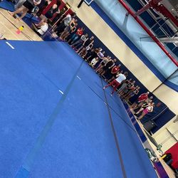 Gymnastic Mats for Sale