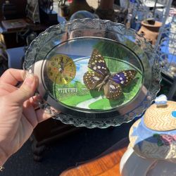 Butterfly Specimen Clock