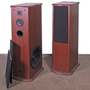 Home Theater System 15 Inch Subs 150w Radio
