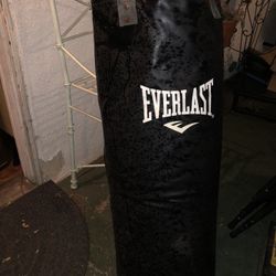 Everlast Punching Bag