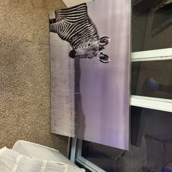 Assorted Animal Pictures 