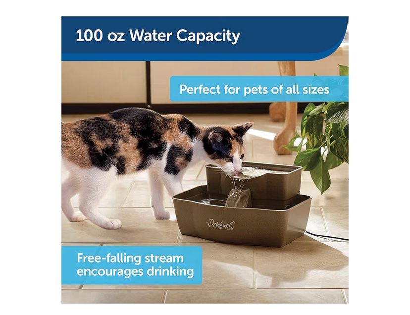 Pet Safe Drinking Fountain For Dogs And Cats New 