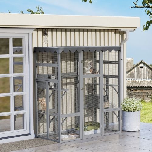 Low Cost Converse Veterinary Clinic Services Agency Stanislaus