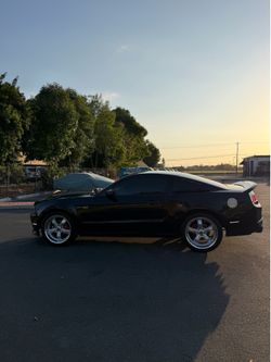 Mustang 2010