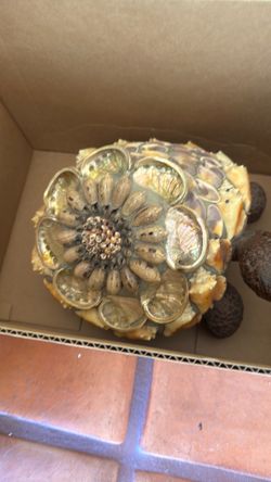 Shell Decorated Turtle