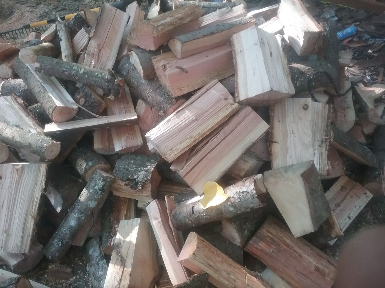 Dry firewood