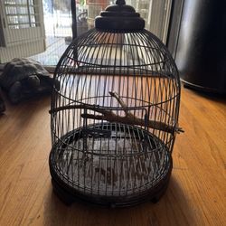 Brass Bird Cage