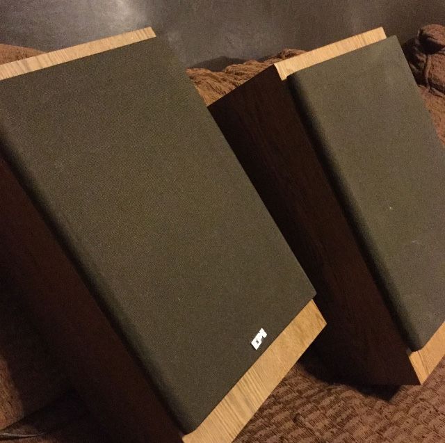 Rare Epi T/E 70 Series 2 Vintage Speakers (2)