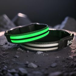 DOGLED USB-C Led Light Up Dog Collar, 3D Design Comfortable And Soft Material,Multicolored Lighting?Night Dog Collar (DL, M(15.7-19.7")) M(15.7-19.7")