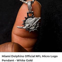Miami Dolphins Chain & Pendant 
