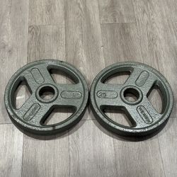 Weider 25lbs Weight Plates (Pair)