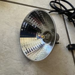 Reptile Light