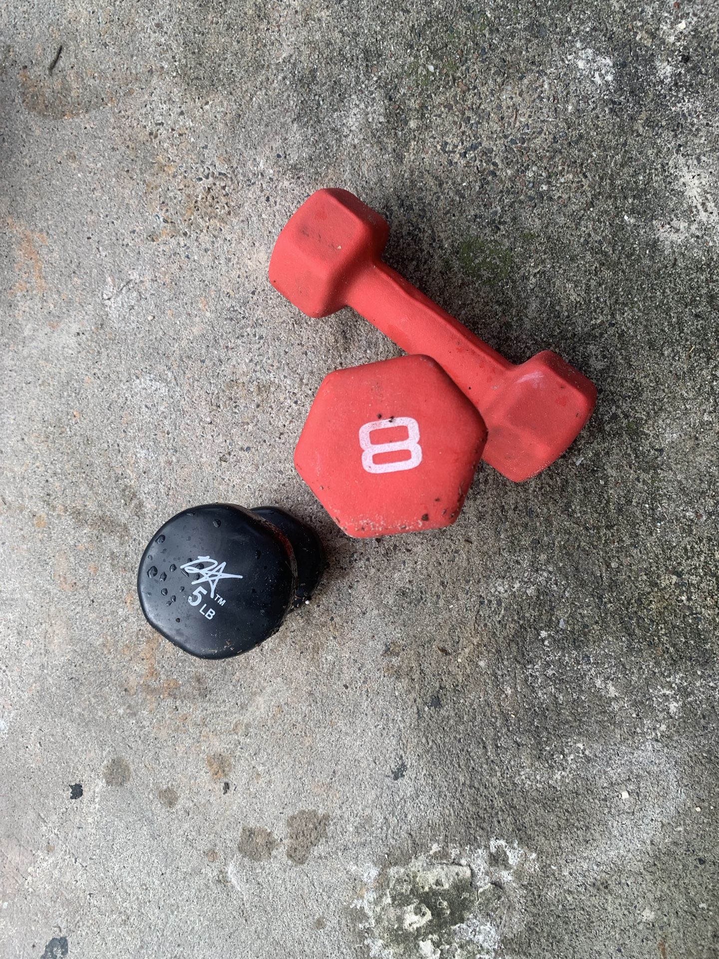 Two 8 Pounds And One 5 Pound Dumbbell All For 13$