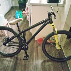 NS Zircous Dirt Jump Bike