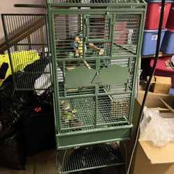 Parrot/bird Cage