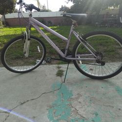 Roadmaster Mountain Bike 