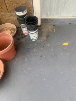 Pots one gallon 3 for 2$