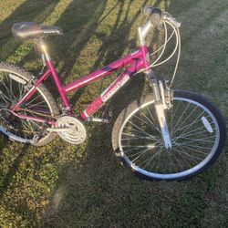 26” Granite Peaks Roadmaster Bike 