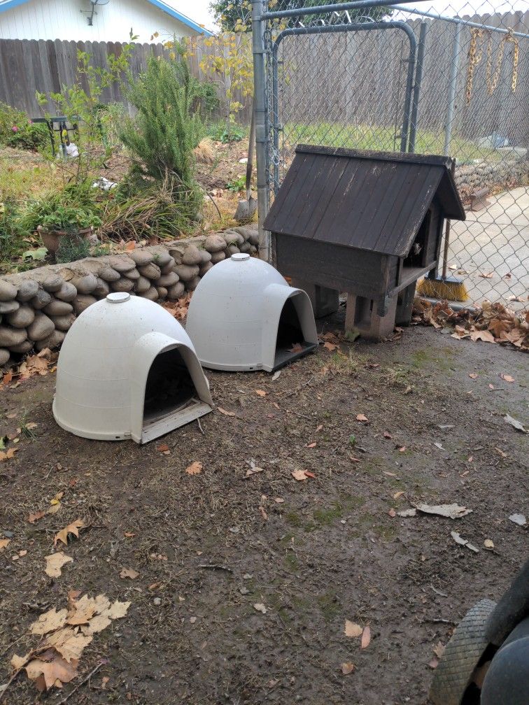 3 Pet Igloo/ Dog House