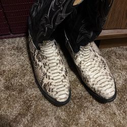 New Snake Skin Boots Never Worn $100.00 OBO 
