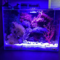 6 Gallon Waterbox Fish Tank (Broken Down)