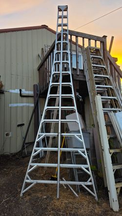 Orchard ladder 16'