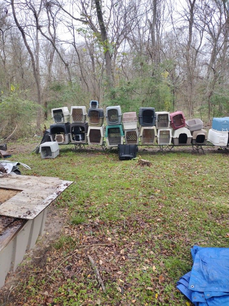 Variety of Dog Kennels